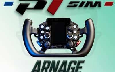 P1Sim Arnage: la mia opinione onesta su questo volante