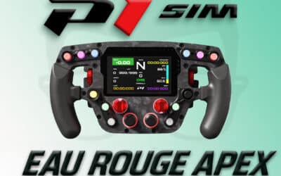 P1Sim Eau Rouge: la mia opinione sul volante Premium